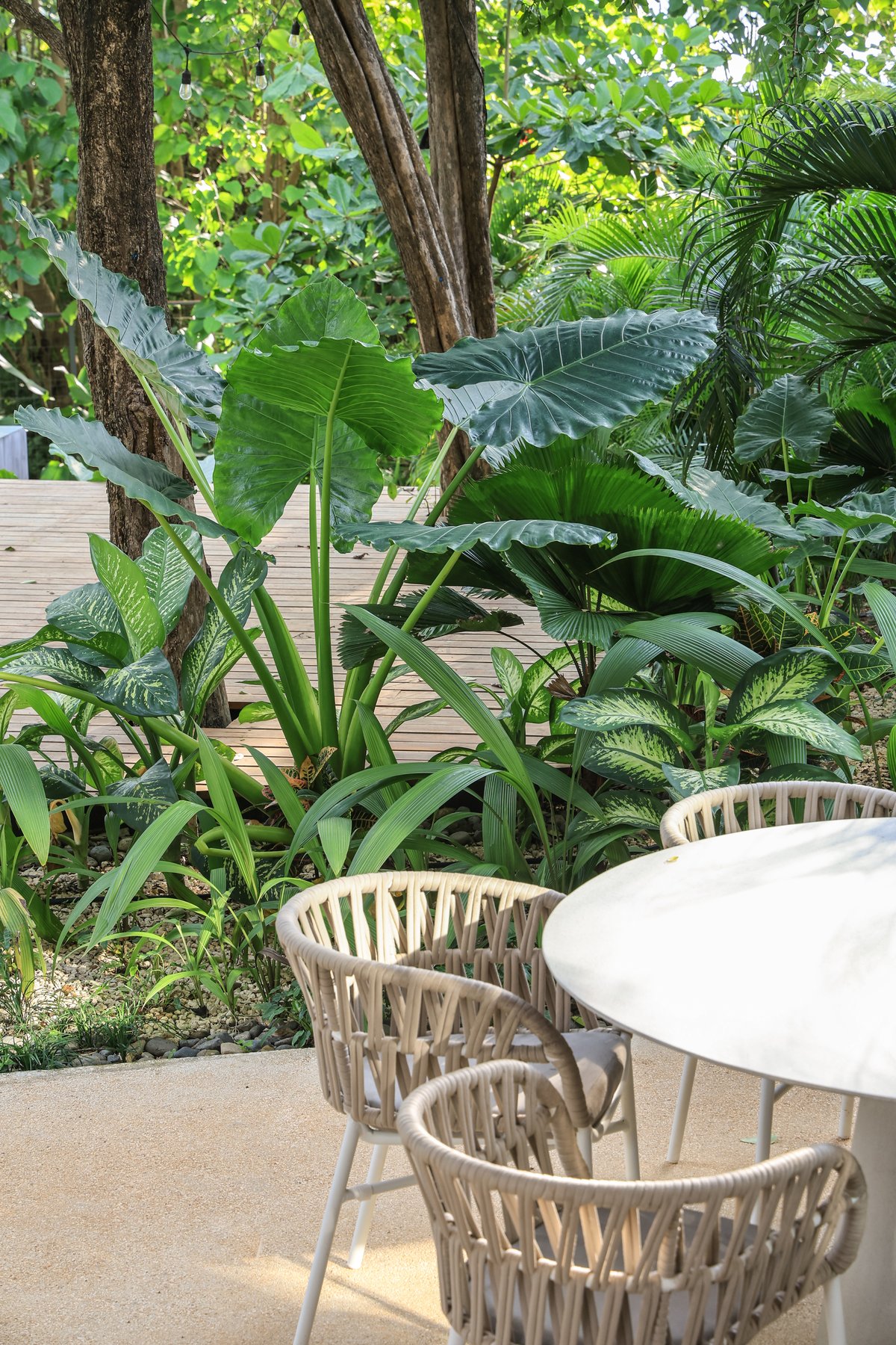 Costafrica — residential architecture, Playa Grande, Costa Rica